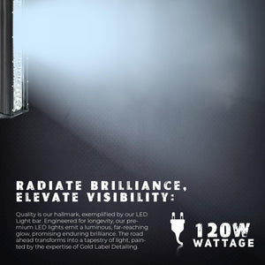 Universal American License Plate Bracket with 20 Inch Double Row LED Light Bar and Wiring Harness - Durable Steel Construction 10,000 Lumens 120 Watts